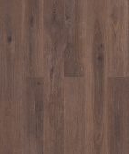 D50457 AF Дуб Гайс