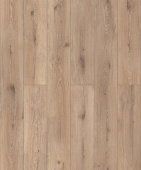 D51037 Дуб Ормонд