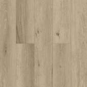 LF110-04 Дублин