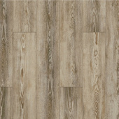 ID08 Сосна Шик