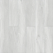 Дуб Серебристый 