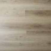 16167 Дуб Честер