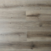 16163 Дуб Тауэр