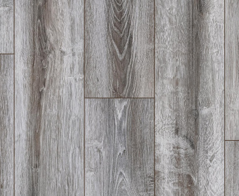 BLA005 Сосна Асахи