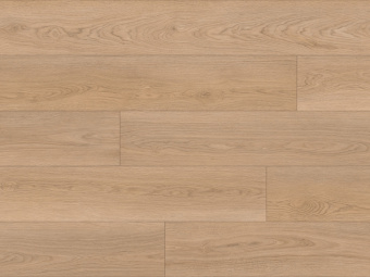 718 Дуб Орландо