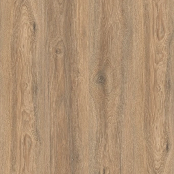 IM8466 Дуб Скалистый