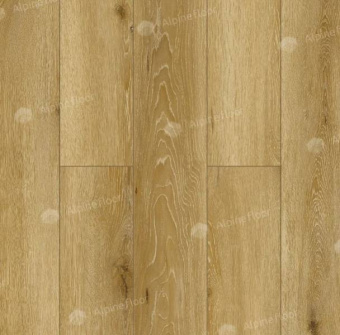 LF101-06 Дуб Ливорно