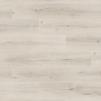 K460 Дуб Орхидея