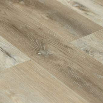 SU1208 Дуб Ботафого