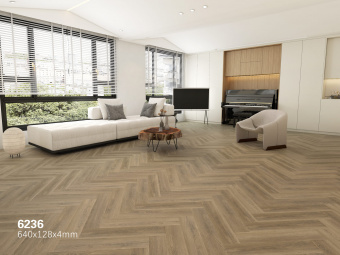 6236 Прибрежные горы