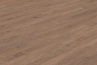 50757 Дуб Герберт