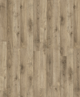 D50387 WG Дуб Леонис