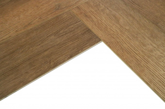 EX104 Дуб Арендал 