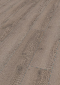 4727 Дуб горный серый