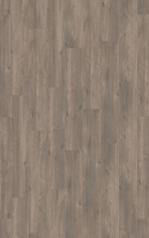 6013 Дуб Эльба серебряный