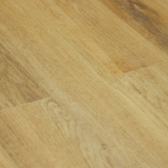 SU1205 Дуб Лит