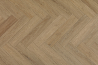 213 Дуб Тревизо