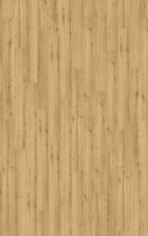 D40792 Дуб Тахо