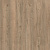 D50137 AF Дуб Мендель
