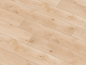 54754 Дуб Гордон