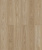 D50587 Дуб Майлен