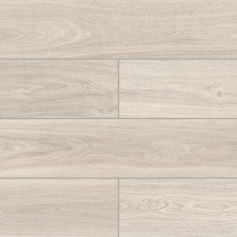 50857 Дуб Шеппард