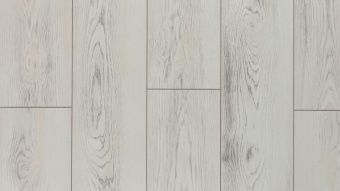  LM-01  Вяз Росси / Rossi Elm