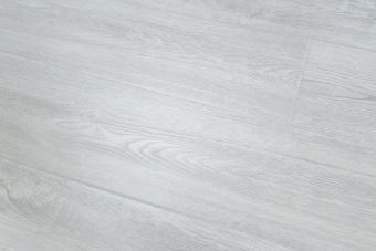 91724-12 Дуб Северный