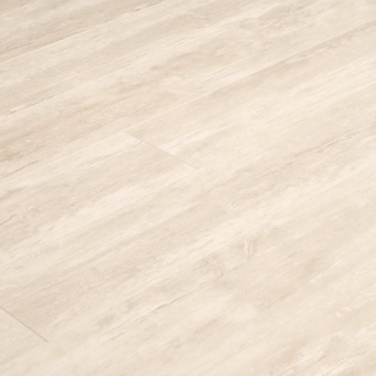 ID69 Олива Галатея