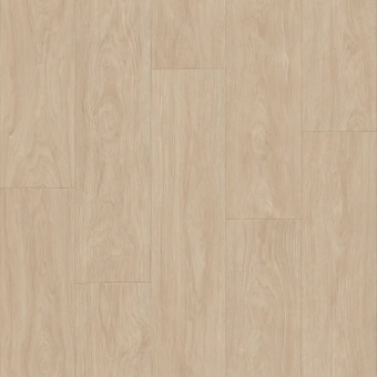 ФАВОРИТ TALBOT 1; TALBOT 2; TALBOT 3