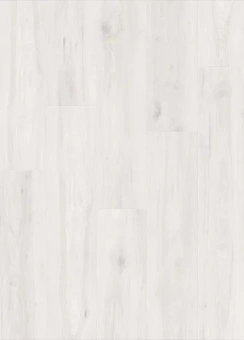 IMU 8465 Дуб зимний