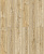 2987 Дуб Ретушированный