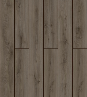 50727 Дуб Гермина