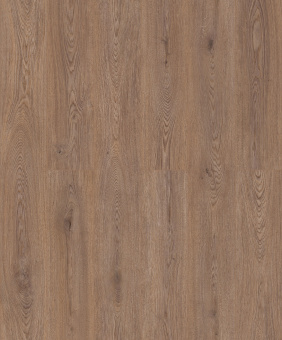 50757 Дуб Герберт