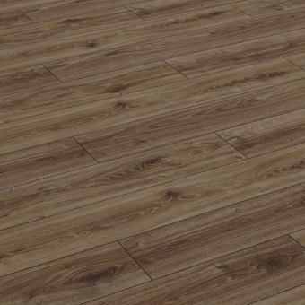 ID76 Дуб Лиотар 