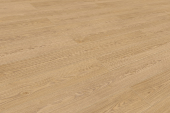 50817 Дуб Виейра