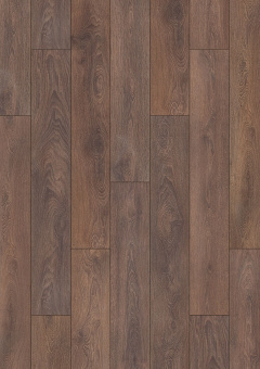 8633 Дуб Шейр