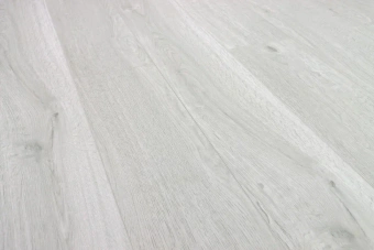 Дуб Серебристый 