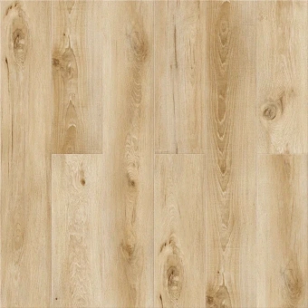 Дуб Москва А 104