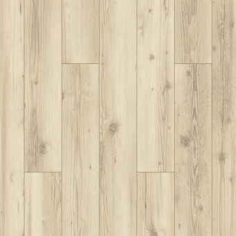  ID103 Дуб Суаре