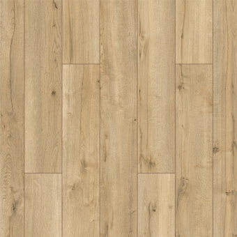  ID104 Дуб Офорт