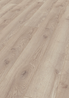 4728 Дуб горный бежевый