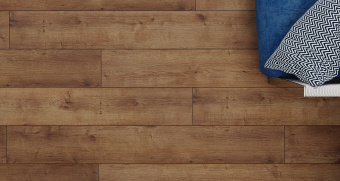 FP1104 Дуб Кенигсбер