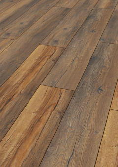 3570 Дуб портовый