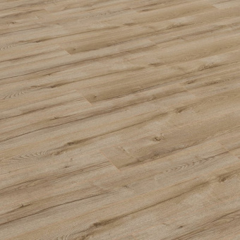 ID89 Дуб Стрим