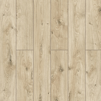 59797 Дуб Тапи