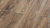  LM-07  Дуб Рим / Rome Oak