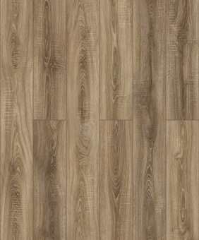 D2048 Дуб Барбикан 